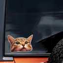 2 pcs Cute Cat Head Funny Car Bumper Sticker,5 Inch Vinyl Decal, Waterproof,Die-Cut for Cars,Windows,Laptops