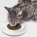 CatGuru Cat Bowls, Whisker Friendly Food Bowl for Indoor Cats, Reliefs Whisker Fatigue, Wide Kitten Dish, Non Slip Pet Dishes, Shallow Pet Plates (Marshmallow, (Pack of 2))