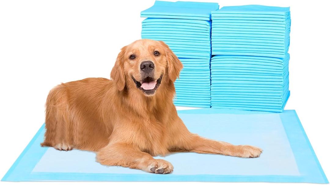 Super Absorbent Waterproof Dog and Puppy Pet Training Pad, Housebreaking Pet Pad, 50-Count Extra Middle-Size, 28X30, Blue