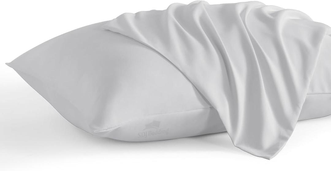 Pillowcase 16 x 22 Inch, Egyptian Cotton Set of 2 Pillowcase Zipper Closure 600 Thread Count Count - Travel 16x22 Zipper, Silver Solid