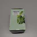 LePe Crushed-Glass, Translucent Broken GlassDecorative for Resin Art, Fire Pits, Potted Plants, Garden and Indoor Use, 3-6mm, 1 Pound in Jar(Navy Blue) (Aquamarine)