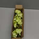 Hollyone 6 Pcs Green Hydrangea Artificial Flowers Heads with Stems Silk Faux Hydrangea Green Fake Flowers for Home Indoor Outdoor DIY Floral Wedding Flower Bouquets Kitchen Table Centerpiece Decor