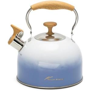 Tea Kettle for Stove Top, 2.5 Quart Whistling Tea Kettle, Food Grade Stainless Steel and Ergonomic Folding Handle, Tea Pots for Tea, Coffee, Milk - Gradient Blue