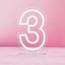 YALLOVE Neon Sign Number 3, 9.8 inches Height USB Powered Night Light-up Numbers for Birthdays Decor, Party Anniversary, Cafe Bar Decor (Small)