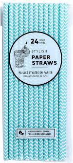 Jacent Stylish Biodegradable Paper Straws, 24 Count per Package 2-Pack Blue