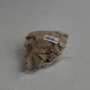 OBEEII Baby Boys Safari Outfit Infant Wild 1st Birthday Photoshoot Shirt Top Shorts Set Animals Zoo Keeper Jungle Outfitters 6-12