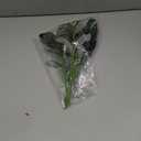 JJUNW 5 Pcs Artificial Plants Olive Tree Branches, 11 Inch Faux Olive Tree 2 Forks Greenery Stems, Faux Leaves Plants for Centerpieces Decor Wedding Greenery Home Party Decor