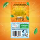 Twinings Cold Brewed Iced Tea - Mint Flavored Green Tea with Peppermint Leaves, Caffeinated Green and Black Tea Extracts, Unsweetened Cold Brew Tea Bags Individually Wrapped, 20 Count
 (EXP 03/17/28)