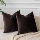 JUSPURBET Couch Pillow Covers Set of 2 Decorative Velvet Throw Pillow Covers Cases for Living Room Bedroom Home Decor Soft Cushion Covers Cases with Hidden Zipper for Sofa Bed 16x16 inch,Coffee
