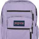 JanSport Laptop Backpack - Computer Bag with 2 Compartments, Ergonomic Shoulder Straps, 15 Laptop Sleeve, Haul Handle - Pastel Lilac, One Size