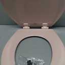 Bemis 500EC 063 Toilet Seat with Easy Clean & Change Hinges, 1 Pack Round, Venetian Pink
