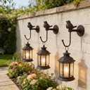 Cast Iron Decorative Hooks Songbird Decorative Wall Hook, Brownish Black (3)