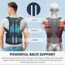 Fitsupport Back Brace Posture Corrector for Women and Men Back Lumbar Support Shoulder Posture Support for Improve Posture Provide and Back Pain Relief Medium(Pack of 1) (Black, M)
