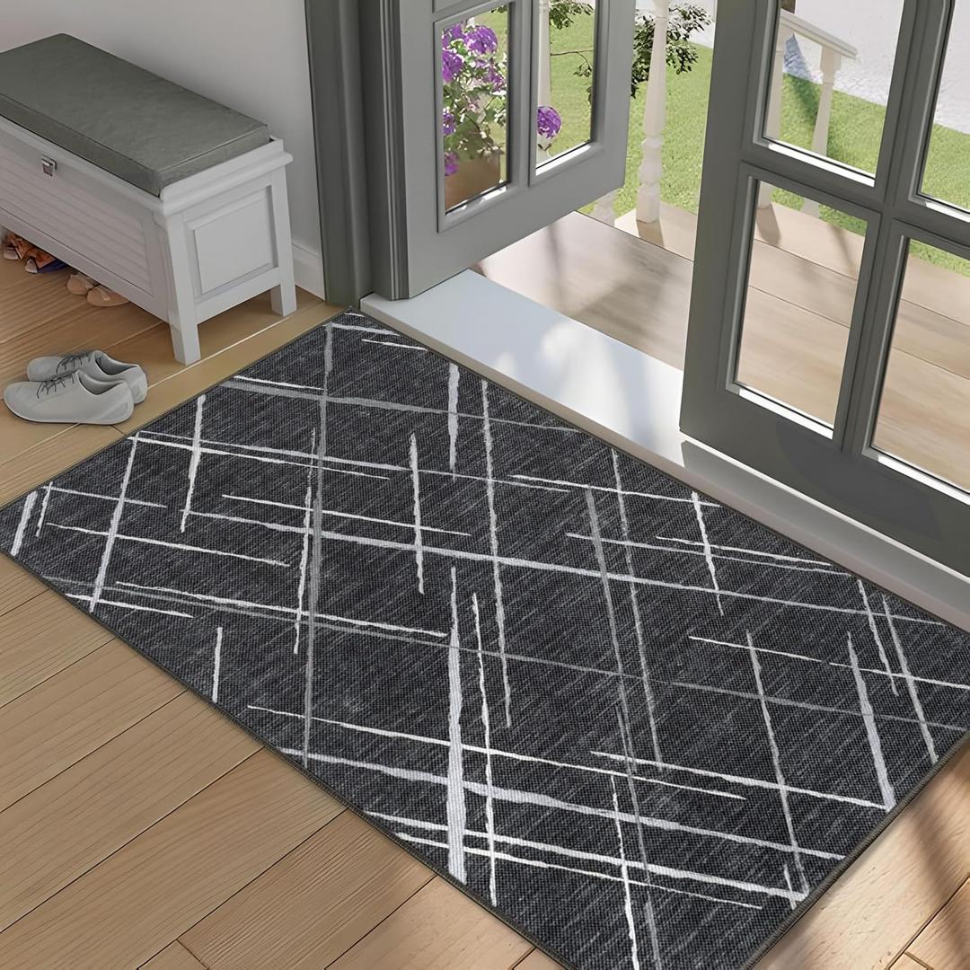 Modern Indoor Entryway Rug, 2x3 Small Rugs for Entryway Indoor, No Pile Tear and Stain Resistance, Non-Slip, Hand Woven Style Washable Thin Rugs for High Traffic Door Mat Entrance - Black
