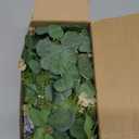 Prelit & Timer - 6 Ft Christmas Garland with Lights, Real Touch Cedar Garland Soft Bendable Eucalyptus Cypress Pine Garland with Pinecone Berry Greenery Christmas Garland for Mantle Fireplace Table