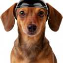 Namsan Small Dog Helmet, Dog Helmets for Small Medium Dogs, Doggie Motorcycle Helmets with Ear Holes, Outdoor Doggy Bike Helmet for Head Protection, Adjustable, Black S