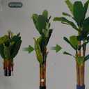 XXL Banana Artificial Tree Approx.  34 PEVA Leaves and 4 Trunks - Large Artificial Banana Tree in Pot, 5ft