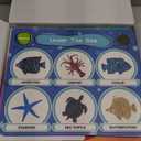 JoyCat Sorting Toys for Toddlers  Sensory Play Box with 48 Sorting Objects, Montessori Preschool Learning Toy to Support Early Cognitive & Speech Development for Ages 25