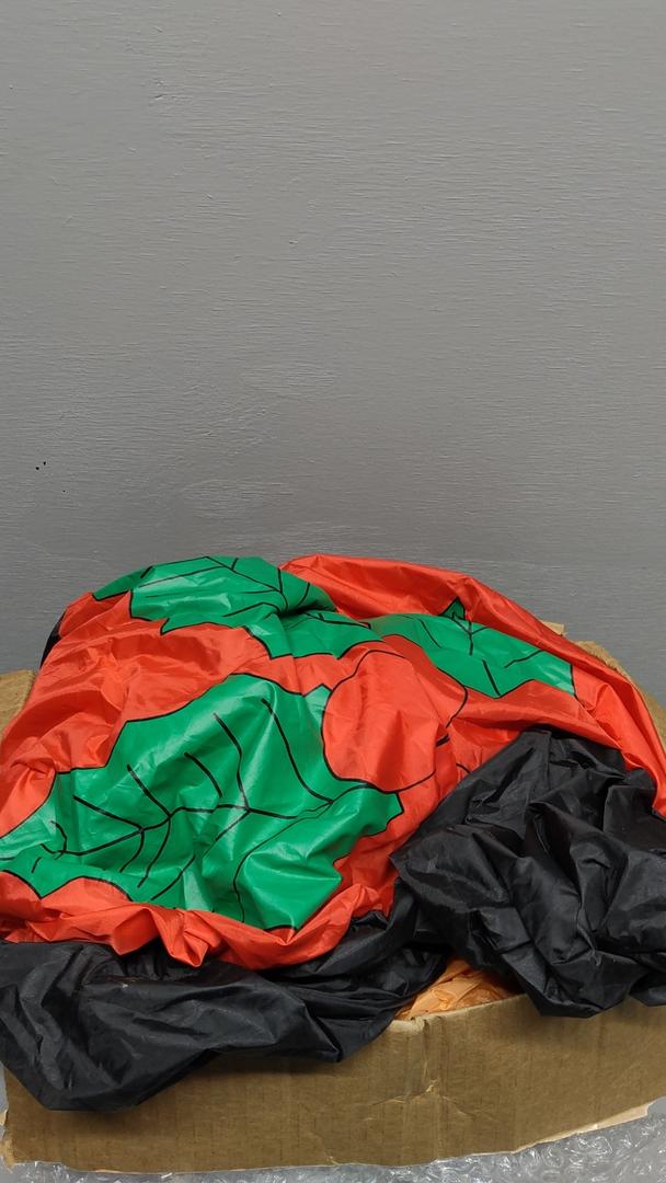 Halloween Decoration/Costume
