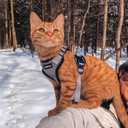 rabbitgoo Cat Harness and Leash for Walking, Escape Proof Soft Adjustable Vest Harnesses for Cats, Easy Control Breathable Reflective Strips Jacket, Grey, M