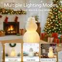 19.7in Light Up Honeycomb Paper Christmas Snowman, Indoor Christmas Decorations and Holiday Centerpieces for December Holiday Season Home Office and Xmas Party Supplies