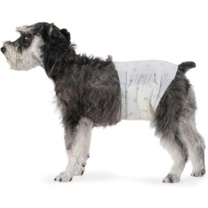 Amazon Basics Male Dog Diapers, Super Absorbent Disposable Wrap with Leak-Proof Protection, Wetness Indicator, Secure Fit, Breathable, Medium, 50 Count