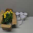 4 Pack Lemon Mason Jar Table Centerpiece, Artificial Lemon Home Centerpieces Fake Lemon Daisy Plants with Faux Leaves for Summer Wedding Farmhouse Office Kitchen Bathroom Dining Table Centerpiece