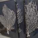 Large Framed Coral Wall Art - Navy Blue Coastal Wall Decor Painting 24"x36" Set of 3 Minimalist Beach Wall Art Prints Rustic Ocean Coral Canvas Pictures for Living Room Bedroom Office Artwork