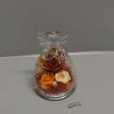 Gifts for Mom Birthday Gifts for Women Preserved Rose Forever Flower in Glass Angel Figurines Fresh Flowers for Delivery Anniversary Mothers Day Real Colorful Roses for Grandma Her Wife from Daughter