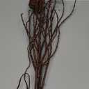 BAOLITVINE Lighted Willow Branches with Timer Battery Operated 100 LED Fairy Lights, Brown Twig Branches 32IN for Home Bedroom Fireplace Christmas Decoration Inside Outdoor