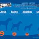 Chuckit! Air Fetch Ball Dog Toy, Medium (2.5 Inch Diameter), for dogs 20-60 lbs, Pack of 2