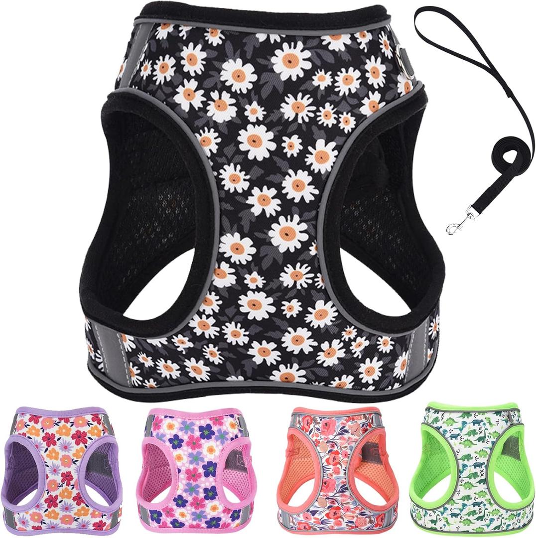 Small Dog Harness and Leash Set, Step in Dog Harness No Pull for Walking Running Training, Puppy Essentials for Dogs Cat Bunny, Adjustable Reflective Dog Vest Harness. (Black, M)