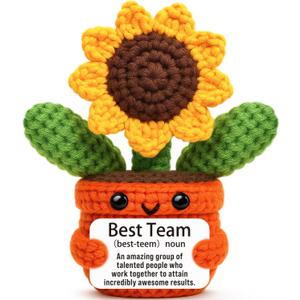 Sensi Blue Team Thank You Appreciation Gifts for Coworkers, Cute Sunflower Crochet, Best Team Gifts for Employees, Inspirational Recognition Present for Colleagues Staff, Admin Professional Day Decor