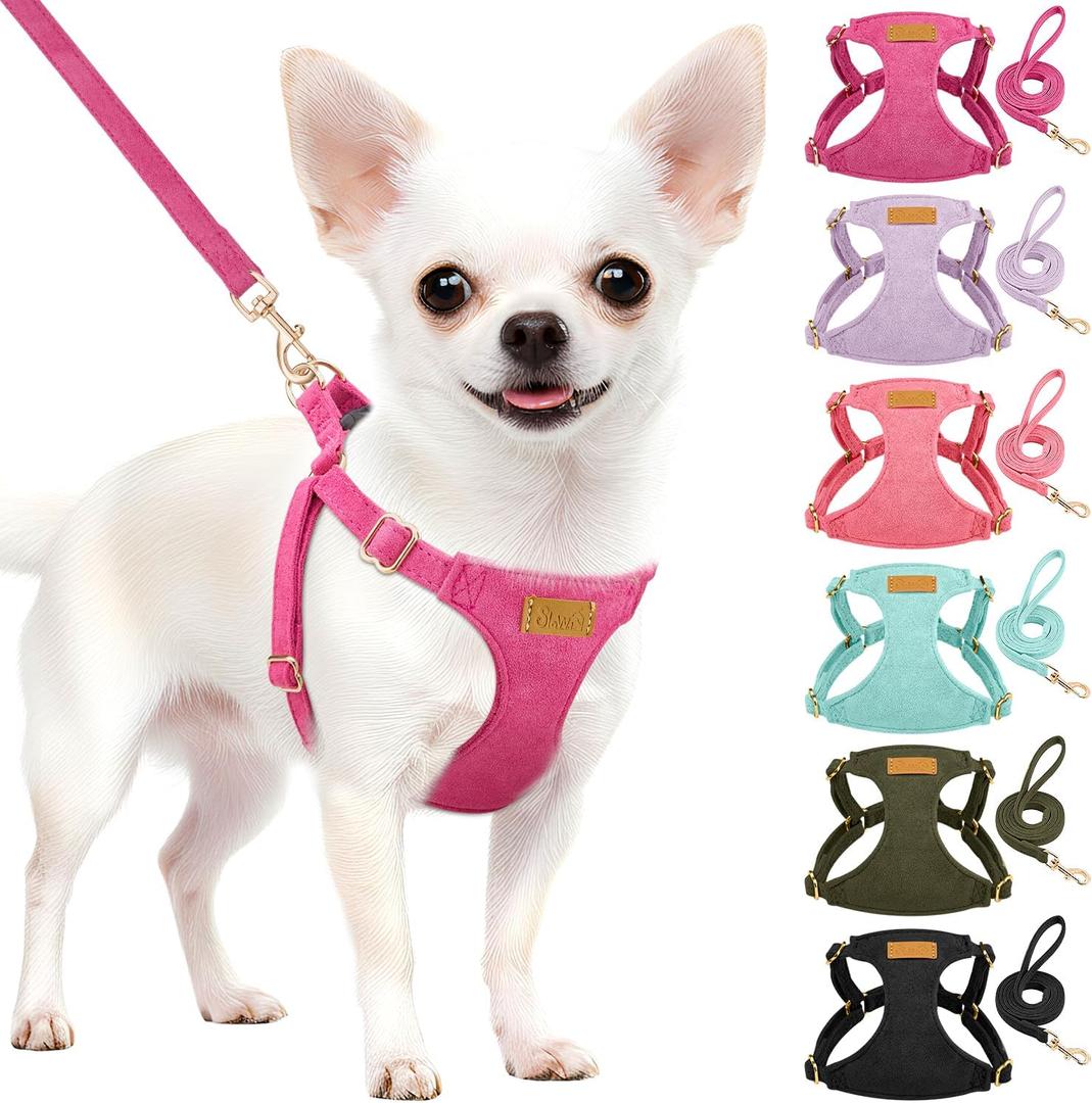 Lukovee No Pull Small Dog Harness and Leash Set - Adjustable Lightweight Soft Puppy Vest, Step-in Pet Harness with 49in Leash for Daily Walking Dogs (Fuchsia, XS)