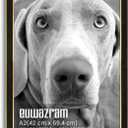 Suede A2 Frame - Single Frame, Elegant Black 16.54x23.39 inch Picture Frame, A2 Poster Frame for Artwork, Puzzles, Photos, Movie Posters, and Wall Display