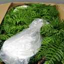 Artificial Hanging Plants Outdoor, UV Resistant Fake Fern Faux Greenery 2 Set for Outside Planter Patio Home Garden Decor (10 Branches&2 Basket)