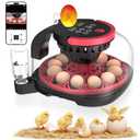 Caifunway Incubators for Hatching Eggs with Automatic Egg Turning and Humidity Control, HD Camera Record with APP Control, Dual Band Wi-Fi, 12 Egg Capacity, for Chicken Duck Pigeon Quail