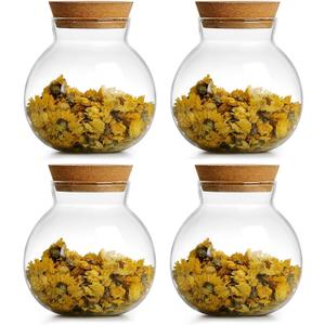 17oz Spherical Glass Jar with Cork Lid Airtight - Kitchen Glass Jar for Preserving and Storing candy, tea, Coffee, Spice, flour, Beans etc (2)