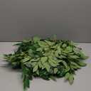 20Pcs Italian Ruscus Greenery, 23" Artificial Silk Stems Garland w/Green Leaf Vines Bendable Faux Hanging Plants Spray for DIY Wedding Arch Bouquet Table Centerpieces Vase Filler and Home Indoor Decor