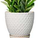 G EPGardening 10 Inch Plant Pot Ceramic Pots for Plants Indoor Outdoor Plant Pots with Drainage Hole and Saucer Round Large Flower Pot for Home Garden Office White