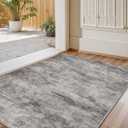 Color&Geometry Thin Indoor Door Mat with Non Slip TPE Backing, 32"x48", Low Profile Front Door Mat, Washable Entry Rugs Mats for Inside Entryway, Hallway, Easy to Clean, Ash Vein