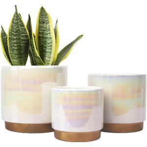 Gepege White Indoor Pots for Plants, Ceramic Planter with Drainage Hole, 6.0 inch+5.0 Inch+4.0 Inch. Succulent Orchid Flower Pot - Rainbow Pearl Glaze