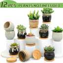 Remerry 12 Pcs Small Succulent Pots Bulk with Drainage Assorted 3.5 Inch Mini Ceramic Succulent Planters Pot with Coaster Bamboo Plant Tray Planting Pots for Home Office Garden