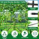 PKBD Tall Garden Arch Trellis for Climbing Plants Outdoor, 7.5 ft Tall Polyethylene-Coated Stainless Steel Garden Arch for Climbing Vine Vegetable/Fruit/Flower, Cucumber Trellis for Raised Bed, Black, 90x67x47