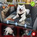 Doglike Dog Truck Seat Cover for Back Seat [with Detachable Mat], Hard Bottom Dog Hammock for Car, Pet Bed Extender for 2-4 Large Dogs, Waterproof Seat Protector, XL Size Fits for Crew Cab Truck/SUV