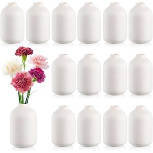 Tioncy 15 Set 5.5"*3" White Ceramic Bud Vases Bulk Boho Valentine's Day Decoration Centerpieces Small Flower White Ceramic Vases for Dry Flowers Pampas Grass Home Wedding DIY Table Decor