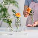 Glass Bud Vases for Flowers - Hewory Blown Modern Small Glass Vases for Centerpieces Set of 12, Mini Clear Bulk Flower Vases for Wedding Party Events Home Decor Floral Arrangement (Not Include Flower), 4sets (12pcs), Clear