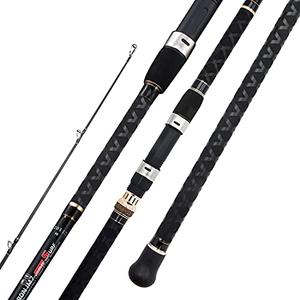 BERRYPRO Surf Spinning Rod Graphite Surf Fishing Rod (11'-2pc)