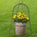 Coloch 1 Pack Garden Chicken Wire Cloche, 16x 13 Inches Black Dome Plant Protector Cover Strong Metal Garden Cloches Protecting Plants and Seedling from Animals