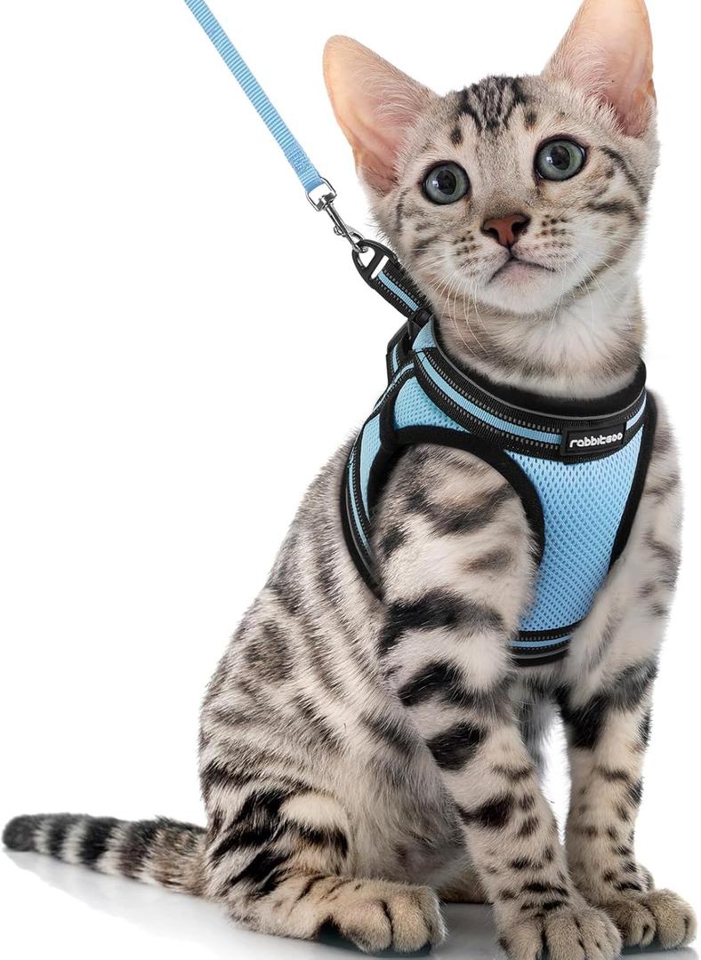rabbitgoo Cat Harness and Leash Set for Walking Escape Proof, Adjustable Soft Kittens Vest with Reflective Strip for Cats, Comfortable Outdoor Vest, Light Blue, XL